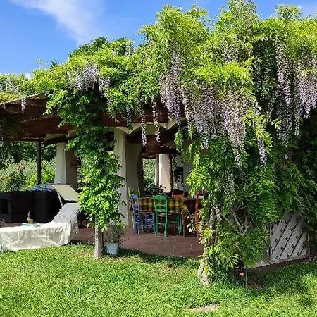 Fonte Tartaruga Trevignano Romano