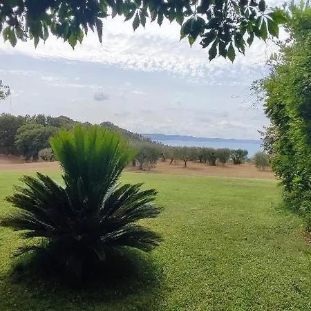 Fonte Tartaruga Trevignano Romano