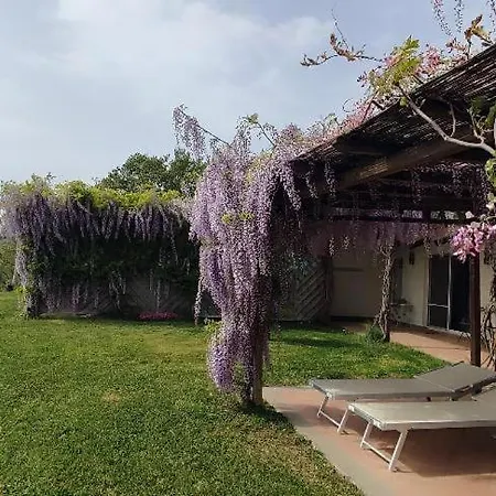 Fonte Tartaruga Trevignano Romano
